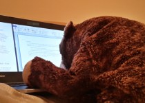 20131118_205215_Richtone(HDR)